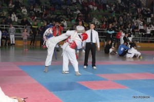 taekwondoo posusje1-l-25092017 (2)
